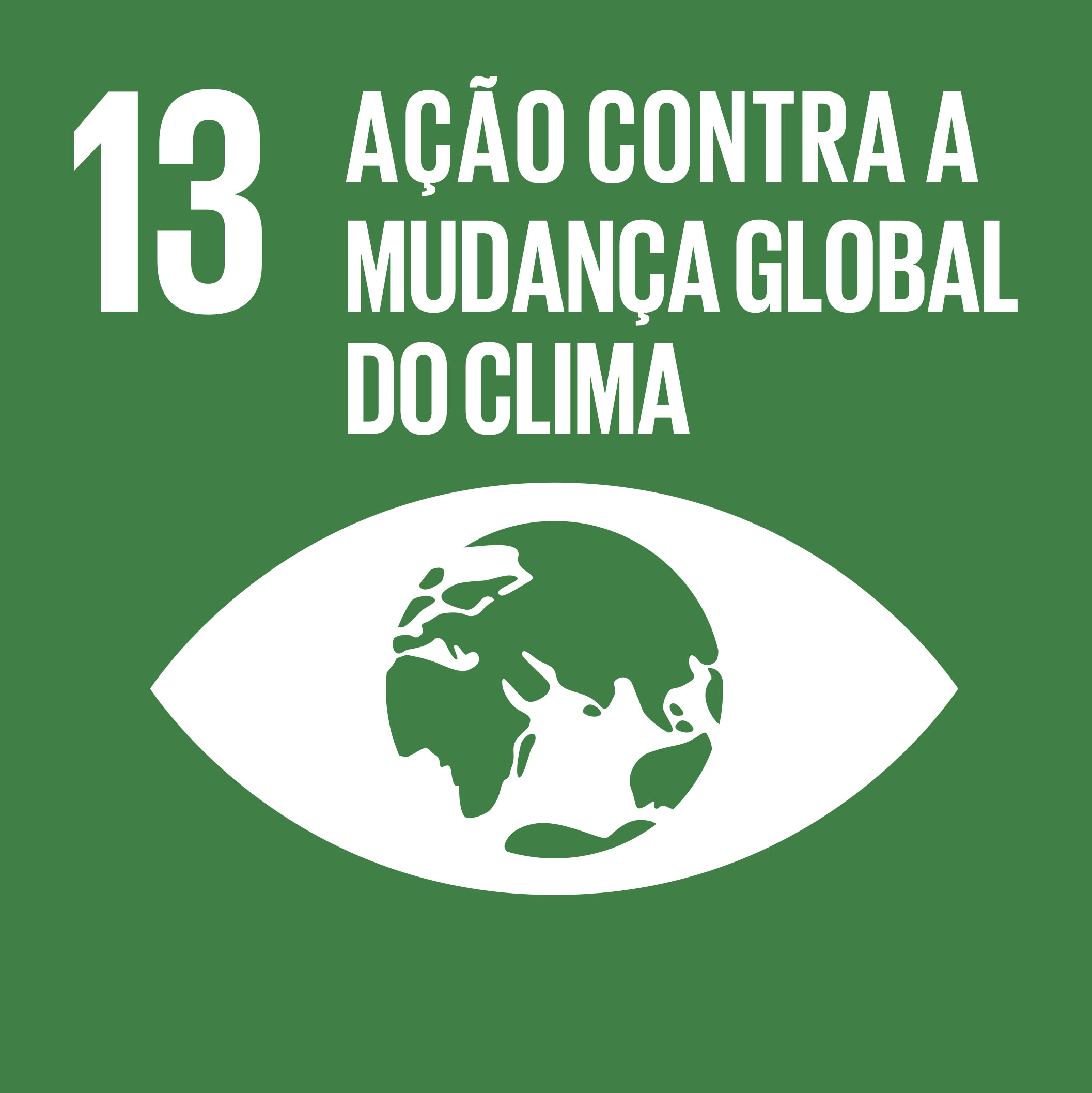ODS 13